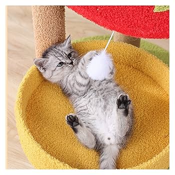 Amazon | キャットツリー/キャットタワー フルーツキャット